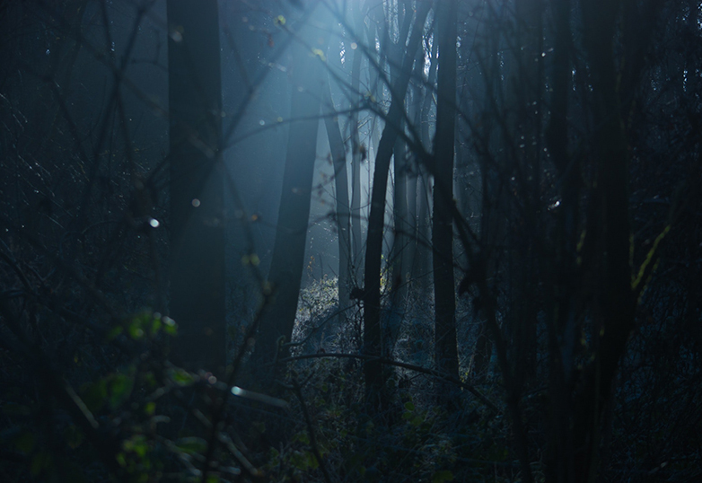 a scene from a scary film
